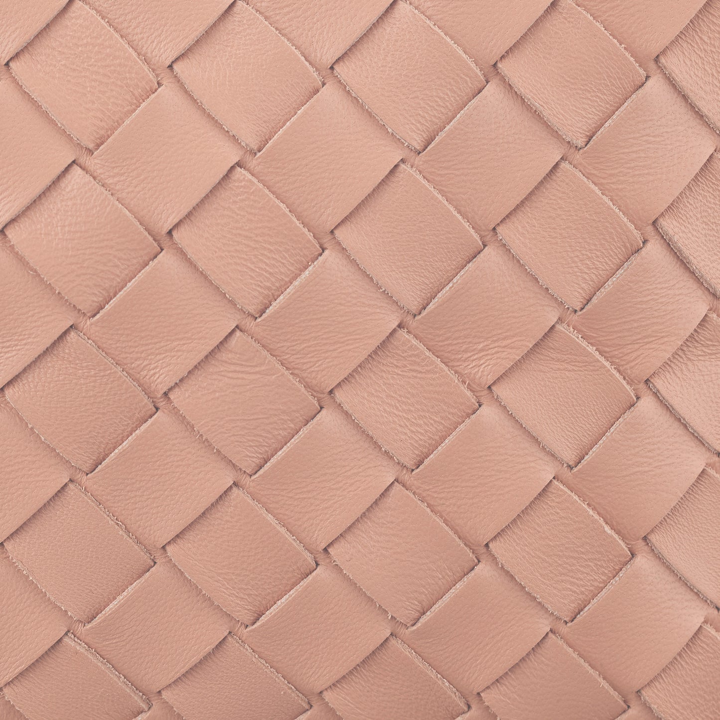 The Beauty Bag in Petal